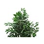 Monarch Specialties Inc. 58" Artificial Ficus Tree in Pot (I 9564)~#|#~2CD10CC7-EAA8-42E2-B4204A3FD12675E8_sc7