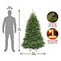 National Tree Company Dunhill Fir Artificial Christmas Tree (DUH-60)~#|#~2CD7D4B4-8F5A-4ABE-A027F4F4E0FF3FC0_sc7