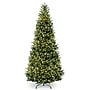 National Tree Company Natural Fraser Fir Artificial Christmas Tree (NAFFSLH1-100LO)~#|#~2CDB3C98-7199-421C-B7408A45F761B6B2_sc7