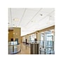 Armstrong FINE FISSURED Second Look I, Angled Tegular Edge Ceiling Tile 9/16, 24" x 48", White, 10/Carton (BP1766C)~#|#~2CDEB465-087F-4FE4-892681719F5D93CC_sc7