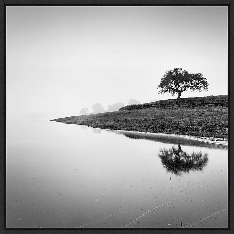 Amanti Art Tree in the Lake by Alexandre Manuel Framed Canvas Wall Art Print, 30" x 30" (A42678027394) image 1