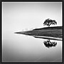 Amanti Art Tree in the Lake by Alexandre Manuel Framed Canvas Wall Art Print, 30" x 30" (A42678027394)~#|#~2D0171A1-089A-49D9-B1B0608F3AE81E9E_sc7