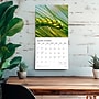 2026 Plato Simplicity 12" x 12" Monthly Wall Calendar (9798330706686)~#|#~2D31A4F9-EAEB-4177-8835C117D007CD8D_sc7