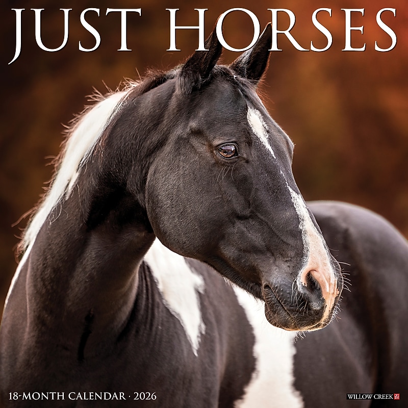 2026 Willow Creek Horses 12" x 12" Monthly Wall Calendar (51504X) image 1
