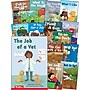 Teacher Created Materials Decodable Books: Read & Succeed Boxed Set, 15/Set (SEP145497)~#|#~2D397D6D-B56B-469B-9693D71E1F20A104_sc7