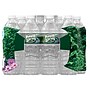 Poland Spring 100% Natural Spring Water, Regular Flavor, 16.9 oz., 24/Carton (12119419)~#|#~2D3B3191-C32C-48CF-8B2F0A7A9B70BDFB_sc7