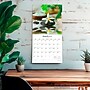 2026 Brush Dance Mindful Living 12" x 12" Monthly Wall Calendar (9798330706549)~#|#~2D3D71BD-742D-49C9-9B8D667E2E114EFF_sc7