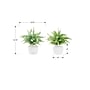 Monarch Specialties Inc. 16" Artificial Eucalyptus Grass in Pot, 2/Set (I 9368)~#|#~2D4523D9-F7F2-4ABE-9C3457212D99CAC2_sc7
