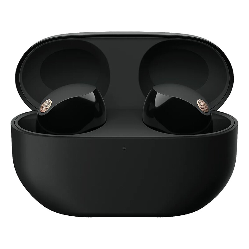 Sony Wireless Active Noise Canceling Earbuds, Bluetooth, Black (WF1000XM5/B) image 1