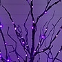 Nearly Natural Pre-Lit Halloween Black Twig Artificial Tree, 4' (T5166)~#|#~2D4F9B6A-852B-4AD9-812BB9D37C871EF5_sc7