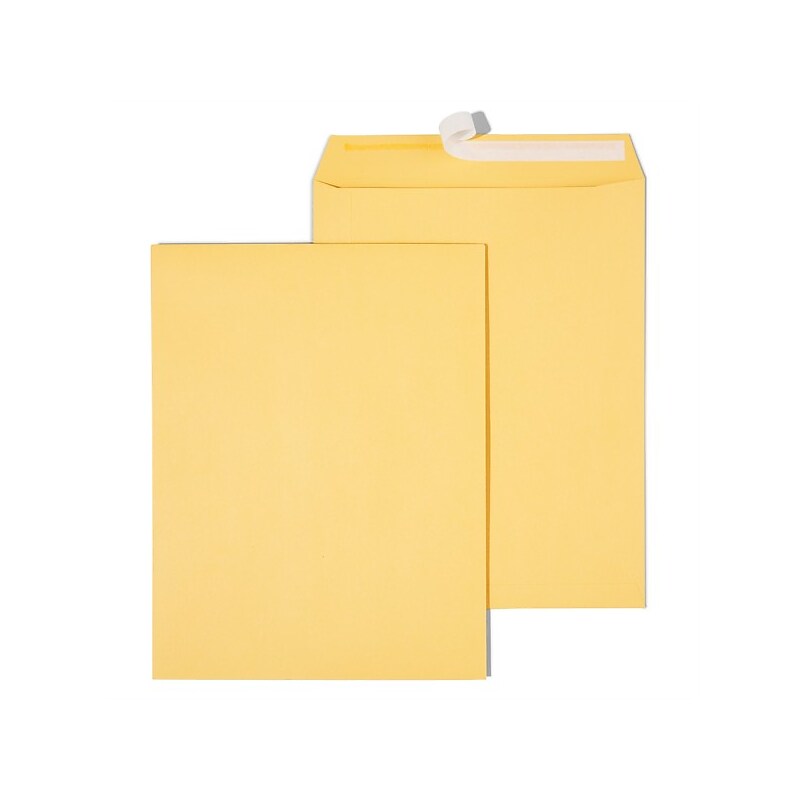 Staples EasyClose Kraft Catalog Envelopes, 10"L x 13"H, Brown, 250/Box (479889/14238) image 1