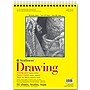Strathmore 300 Series 11" x 14" Wire Bound Drawing Sketch Pad, 50 Sheets/Pad, 3/Bundle (STTP3401103-3)~#|#~2D960300-4E86-4CE2-BCDCA9E16B0CA1EA_sc7