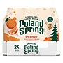 Poland Spring Orange Sparkling Purified Water, 16.9 oz., 24/Carton (12349571/122060)~#|#~2D9DBE95-E08D-444B-ACC6F7D620645CF2_sc7