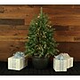 Fraser Hill Farm Pre-Lit Artificial Christmas Trees, 100 Lights (FFPP040-1GR)~#|#~2DAA38E4-799A-47C1-91D767AB8E6D8F7C_sc7