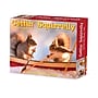 2026 Willow Creek Gettin' Squirrelly 6.2" x 5.4" Day-to-Day Calendar (54185)~#|#~2DABE729-F7B8-4475-A7EE0165F9E212A6_sc7