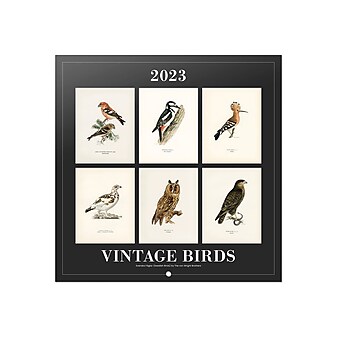 2023 Grupo Erik Vintage Birds 11.8" x 11.8" Monthly Wall Calendar (CPUS2319)