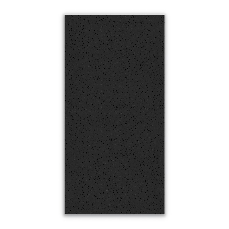 Armstrong FINE FISSURED Square Lay-In Edge Ceiling Tile, 24" x 48", Tech Black, 12/Carton (BP1729ABL) image 1