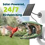 Birdfy Feeder 2 Pro with Dual-Lens Camera, Solar Panel and Free AI Lifetime Subscription, Green (EPPAMBNI8612100)~#|#~2DF8A928-BCAD-4523-B8967B44FFA46026_sc7