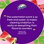 Fabuloso 2X All-Purpose Cleaner, Watermelon Scent, 169 oz. (61051624)~#|#~2E0077A7-5D2C-4C50-85F647C27694B9D9_sc7