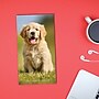 2026-2028 Willow Creek Puppies 3.5" x 6.5" Monthly Pocket/Wallet Calendar, Assorted Colors (66072)~#|#~2E007C89-0799-4C1F-8534A9D891A7B0D9_sc7