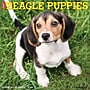 2026 Willow Creek Beagle Puppies 12" x 12" Monthly Wall Calendar (50132)~#|#~2E2ACD29-A9F5-4353-BD94F105752EA157_sc7
