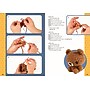 Quarto Creature Crochet Kit: Create 12 Adorable Critters (9780785845775)~#|#~2E351ADC-984E-4DCC-BEF8A1A99AF81CC1_sc7