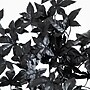 Nearly Natural Artificial Halloween Black Maple Tree, 6' (T5157)~#|#~2E4B8076-80E9-4825-93E23EA974203124_sc7