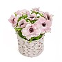 National Tree Company 10" Pink Anemone Flower Bouquet in White Basket (MT81-01626GPK-1)~#|#~2E52E622-18ED-40D5-9C86F543B7A6D399_sc7