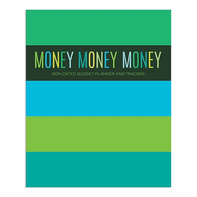 TF Publishing Money Planner 9" x 11" Undated Planner, Paperboard Cover, Multicolored (99-4725) image 1