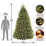National Tree Company Dunhill Fir Artificial Christmas Trees (DUH3-300P-90)~#|#~2E6F9085-22B9-4F6B-8B842059903C31DE_sc7