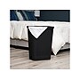 Mind Reader 15.85-Gallon Hamper with Lid, Plastic, Black (60FABHAMP-BLK)~#|#~2E78DC31-8786-446C-B05F07B4BCF371FA_sc7