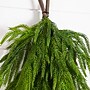 Nearly Natural Artificial Real Touch Norfolk Island Pine Teardrop, 3' (W1400)~#|#~2E806283-89CC-4446-B539C5B524907A88_sc7