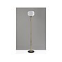 Adesso Hazel 65" Antique Brass Floor Lamp with Round Frosted Shade (4278-21)~#|#~2E997593-210D-40F9-8BD5151DFF24816E_sc7