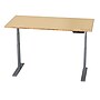 Uncaged Ergonomics Rise Up Electric Adjustable Height Standing Desk with Natural Bamboo Desktop Gray Frame (Rugb)~#|#~2EAFE3FA-0137-42A0-A7E99C9867CD939D_sc7