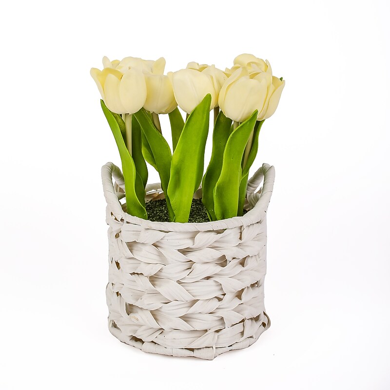 National Tree Company 10" Light Yellow Tulip Bouquet in White Basket (MT81-0926GLYW-1) image 1
