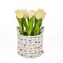 National Tree Company 10" Light Yellow Tulip Bouquet in White Basket (MT81-0926GLYW-1)~#|#~2EB08678-5AB5-44B6-AC852C7D0A544BE2_sc7