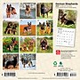 2027 BrownTrout German Shepherds 7" x 7" Monthly Wall Calendar, Assorted Colors (9798330710003)~#|#~2EB11996-E0E8-482F-B92768F9EEA07308_sc7