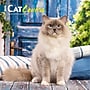 2026 BrownTrout Cat Lovers 7" x 7" Monthly Wall Calendar (9798330702770)~#|#~2EBDEC57-B887-4F72-BA72D8084E32434A_sc7