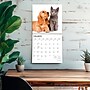 2027 BrownTrout Kittens & Puppies 12" x 12" Monthly Wall Calendar (9798330711796)~#|#~2EEA4039-10DD-4FF4-8E8BEDEBA23BE825_sc7