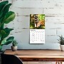 2027 BrownTrout Schnauzer Puppies 7" x 7" Monthly Wall Calendar (9798330710072)~#|#~2F033071-6A65-4E8C-896865FA83E04A0C_sc7