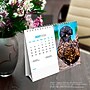 2026 BrownTrout Chickens 7.5" x 6" Monthly Desk Calendar (9798330702862)~#|#~2F209638-06C7-493B-82A32D4C3E050179_sc7