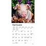 2027 BrownTrout Piglets 7" x 7" Monthly Wall Calendar (9798330709816)~#|#~2F33D1ED-E7F5-4C71-8BE8EA81B6A4D19F_sc7