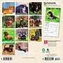 2026 BrownTrout Dachshunds 7" x 7" Monthly Wall Calendar (9798330703111)~#|#~2F3A4439-06C4-413F-8BDBB43D47167B0B_sc7