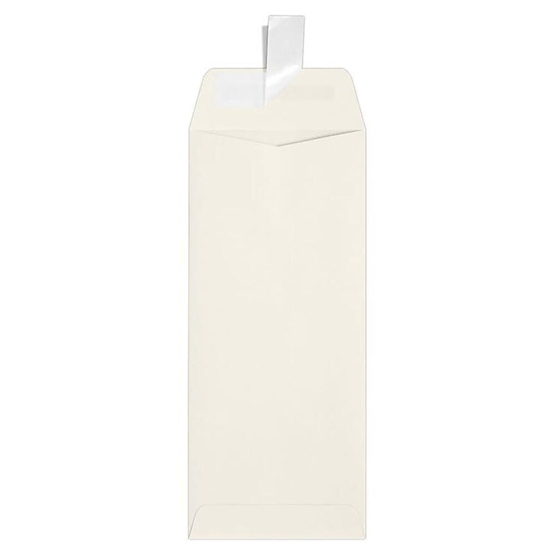 JAM Paper Self Seal #10 Policy Envelope 4 1/8" x 9 1/2", Natural, 50/Pack (7716-NPC-50) image 1