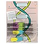 Roylco DNA Builder, 9/Set (R-59252)~#|#~2F4FE58D-4833-4697-A2CB0AB2AB27E507_sc7