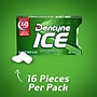 Dentyne Ice Sugar Free Spearmint Gum, 9 Packs/Box (VAM05114)~#|#~2F519C16-C52E-454E-ABC6A91A98C8F22C_sc7