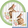 Creative Converting Cottage Easter Bunny Paper Plates and Napkins Kit, Serves 16 (DTC9199E2G)~#|#~2F594727-0023-4D39-9586A4DD1434EC77_sc7