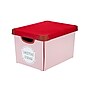 Simplify Christmas Ornament Storage Tote Bin with Lid, Plastic, Multicolored (9081-E)~#|#~2F717709-AB8D-4FD2-A94BF7813153C1CD_sc7
