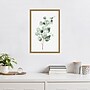 Amanti Art Tender Sprout II (Eucalyptus) by Eva Watts Framed Canvas Wall Art Print, 16" x 23" (A42675040761)~#|#~2F74E4A3-E215-4072-A40E7F4998C3C911_sc7