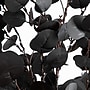 Nearly Natural Pre-Lit Artificial Halloween Black Eucalyptus Tree, 6' (T5223)~#|#~2F89E30F-DB06-4587-9129E58FF35333E3_sc7